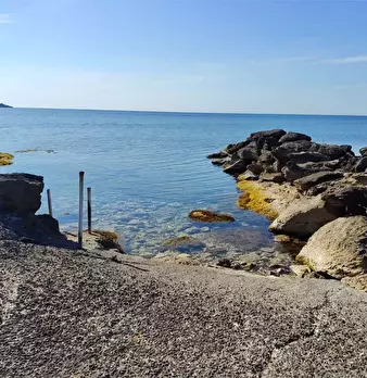 Foto annuncio 39