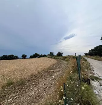 Foto annuncio 5
