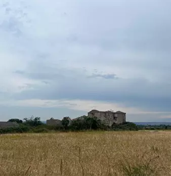 Foto annuncio 10