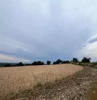 Foto annuncio 13