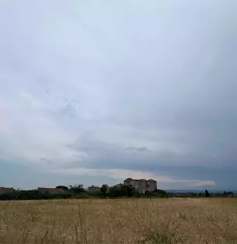 Foto annuncio 14