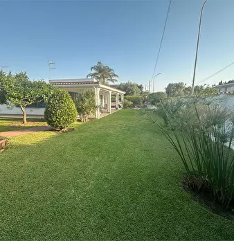 Foto annuncio 12