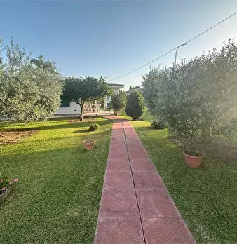 Foto annuncio 14
