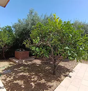 Foto annuncio 3