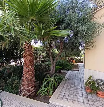 Foto annuncio 7