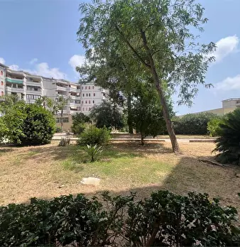 Foto annuncio 24