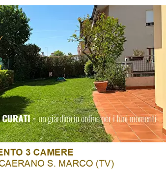 Foto annuncio 20