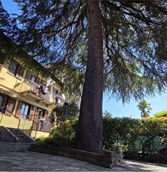 Foto annuncio 10