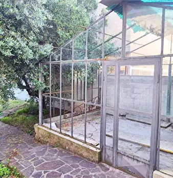 Foto annuncio 21
