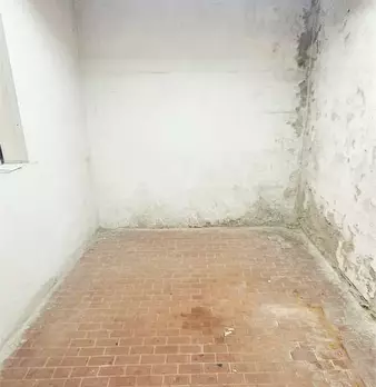 Foto annuncio 26