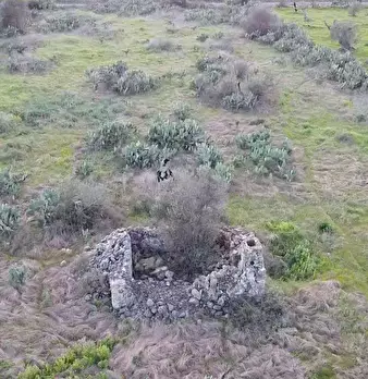 Foto annuncio 5