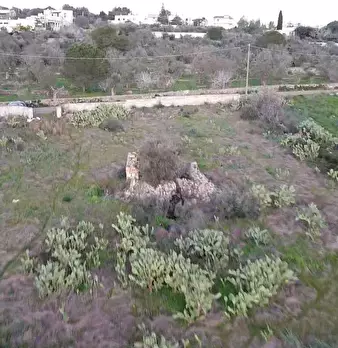 Foto annuncio 7