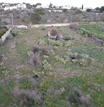 Foto annuncio 8