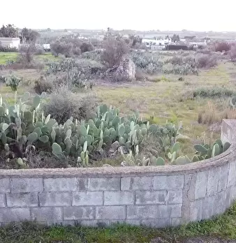 Foto annuncio 3