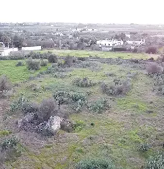 Foto annuncio 6