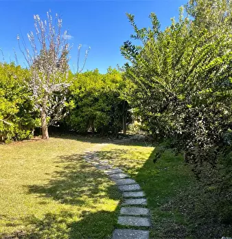 Foto annuncio 10