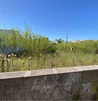 Foto annuncio 4