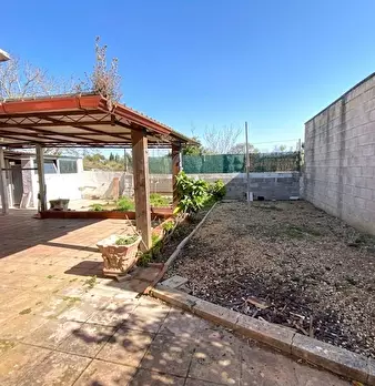 Foto annuncio 7