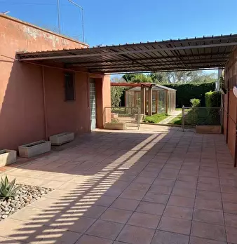Foto annuncio 8
