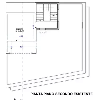 Foto annuncio 44