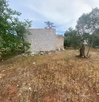 Foto annuncio 19