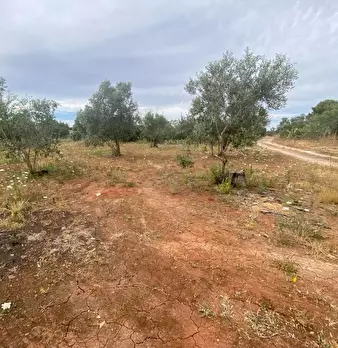 Foto annuncio 20