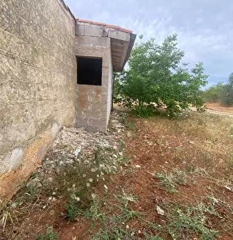 Foto annuncio 18