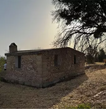 Foto annuncio 3