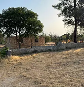 Foto annuncio 4