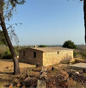 Foto annuncio 5