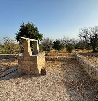 Foto annuncio 8