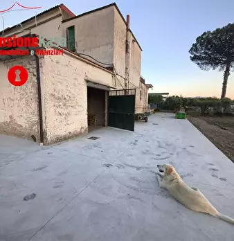 Foto annuncio 2