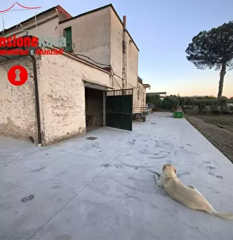 Foto annuncio 3