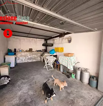 Foto annuncio 36