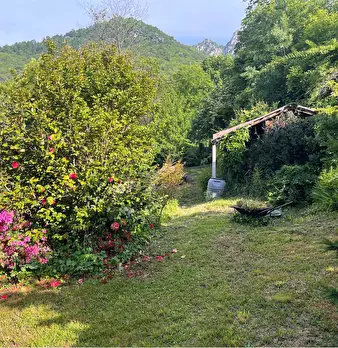 Foto annuncio 21