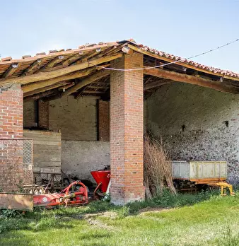 Foto annuncio 42