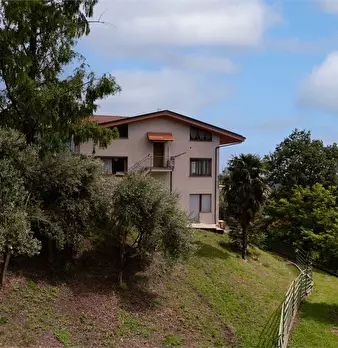 Foto annuncio 46