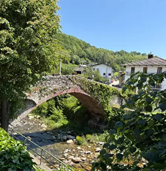 Foto annuncio 2