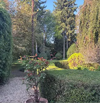 Foto annuncio 28
