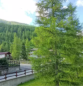 Foto annuncio 3