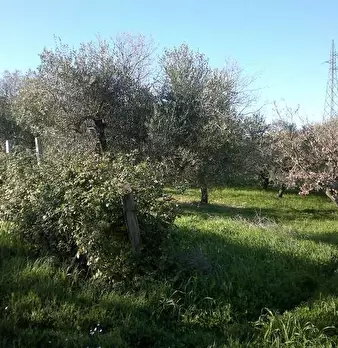Foto annuncio 3