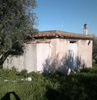 Foto annuncio 2