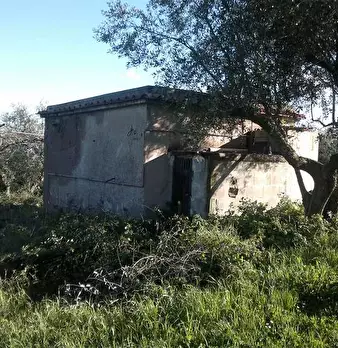 Foto annuncio 6