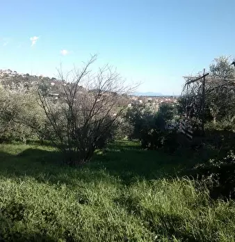 Foto annuncio 7