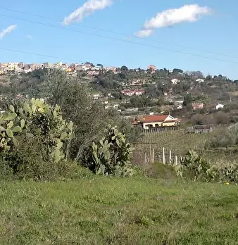 Foto annuncio 1