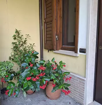 Foto annuncio 2