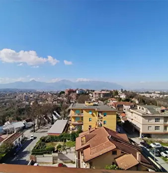 Foto annuncio 7