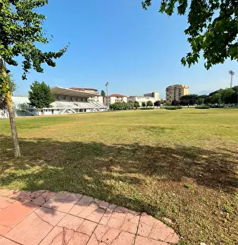 Foto annuncio 18