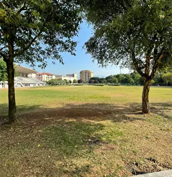 Foto annuncio 19
