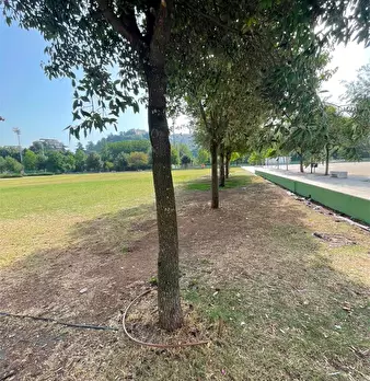 Foto annuncio 20
